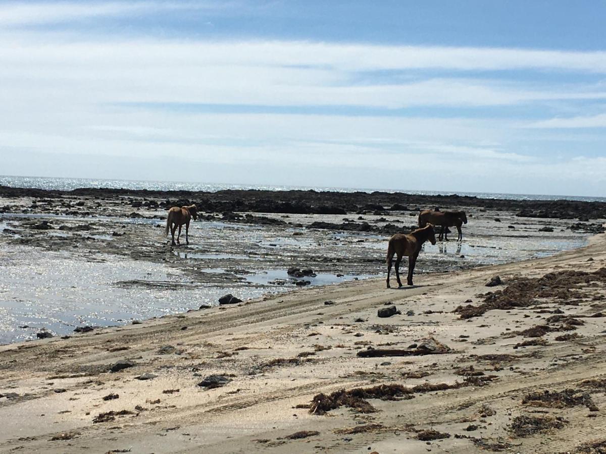 90 Mile Paradise Ahipara Luaran gambar